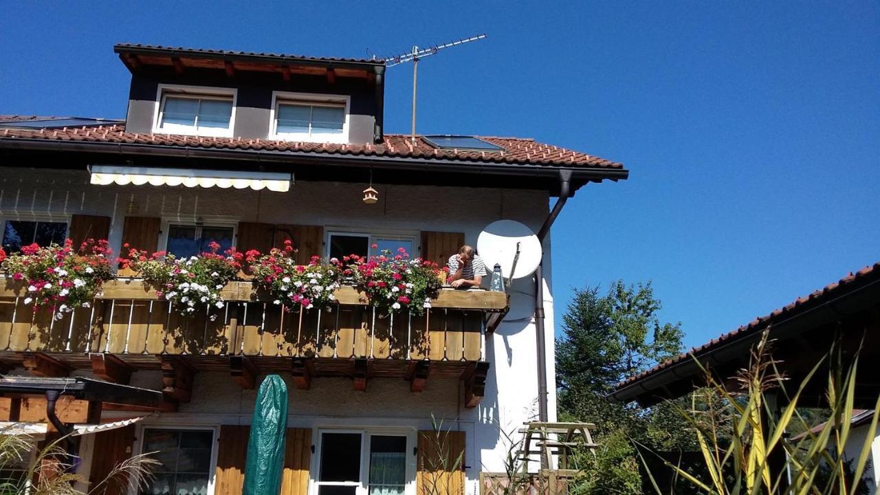 ネッセルヴァンクHaus Edelsbergblickアパートメント エクステリア 写真